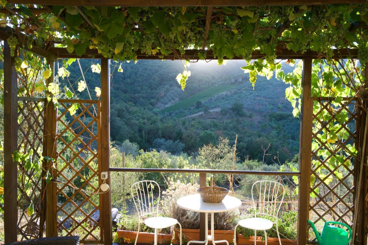 קרמיניאנו Barco Mediceo B&B In Toscana מראה חיצוני תמונה